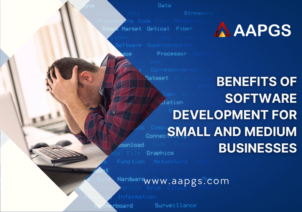 Benefits of Software Development for Small and Medium Businesses